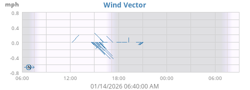 Wind Vector