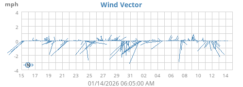 Wind Vector